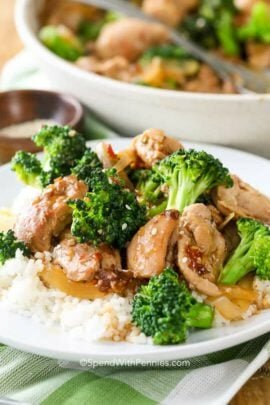 Plate of Chicken and Broccoli Stir Fry with rice