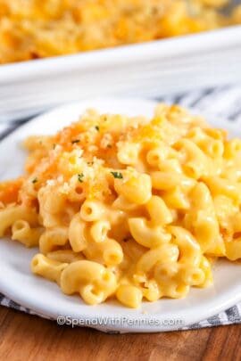 Velveeta Mac and Cheese on a white plate